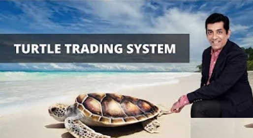 Turtle Trading System